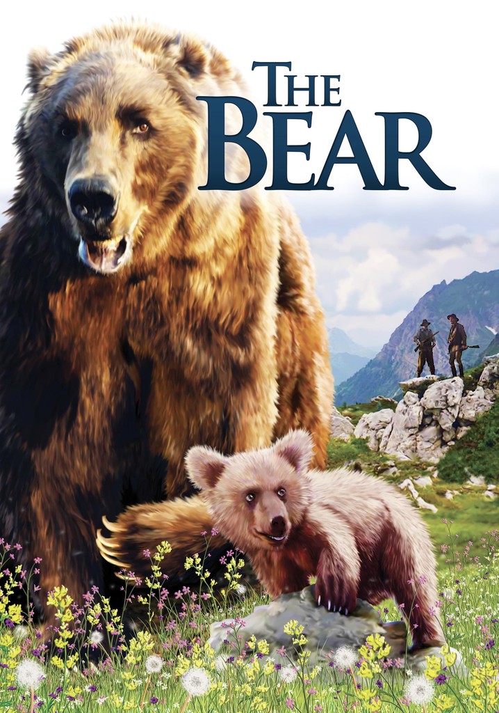 The Bear movie where to watch streaming online